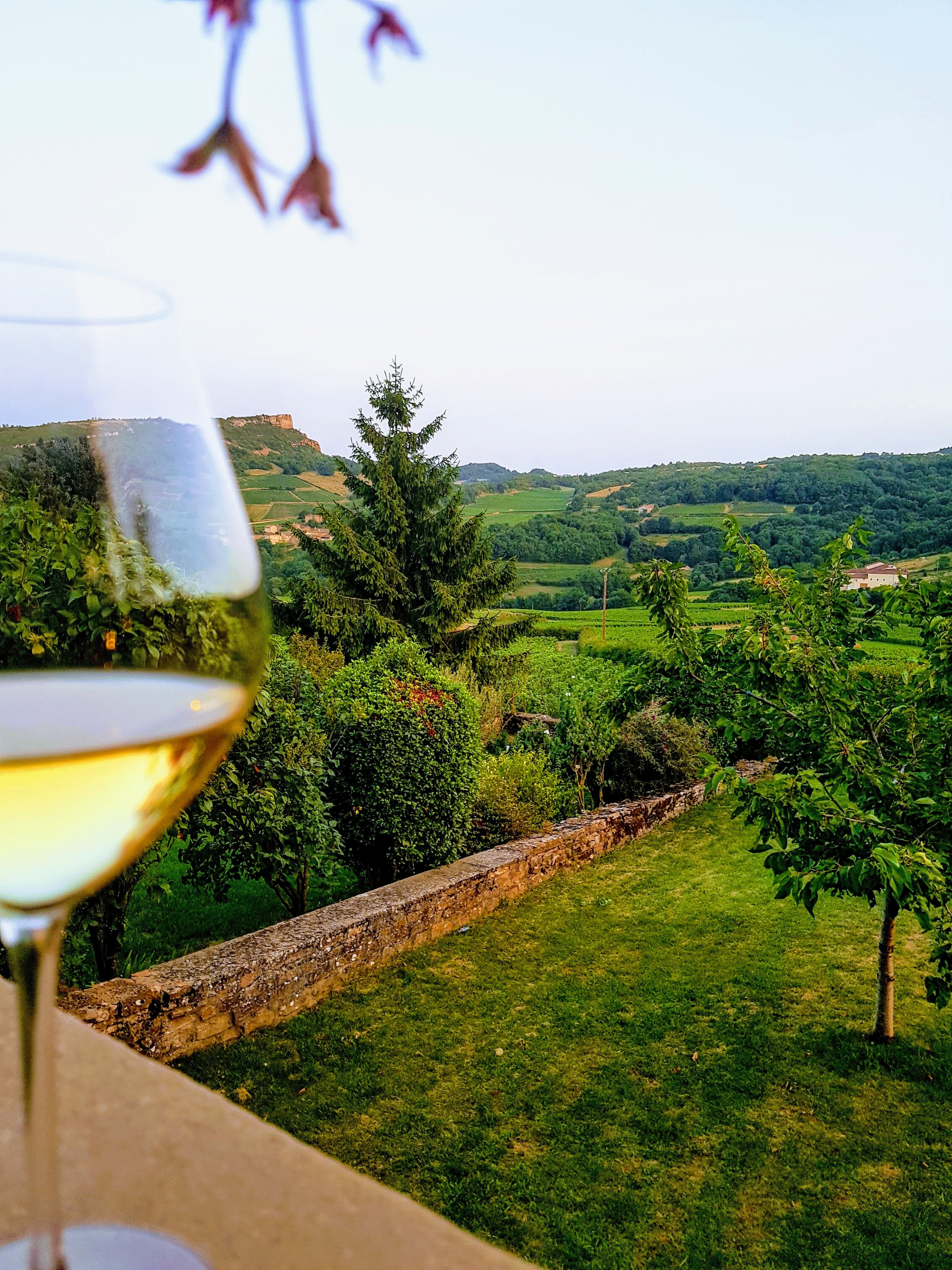 Eric Forest lOptimum des Hauts de Crays, Pouilly Fuissé